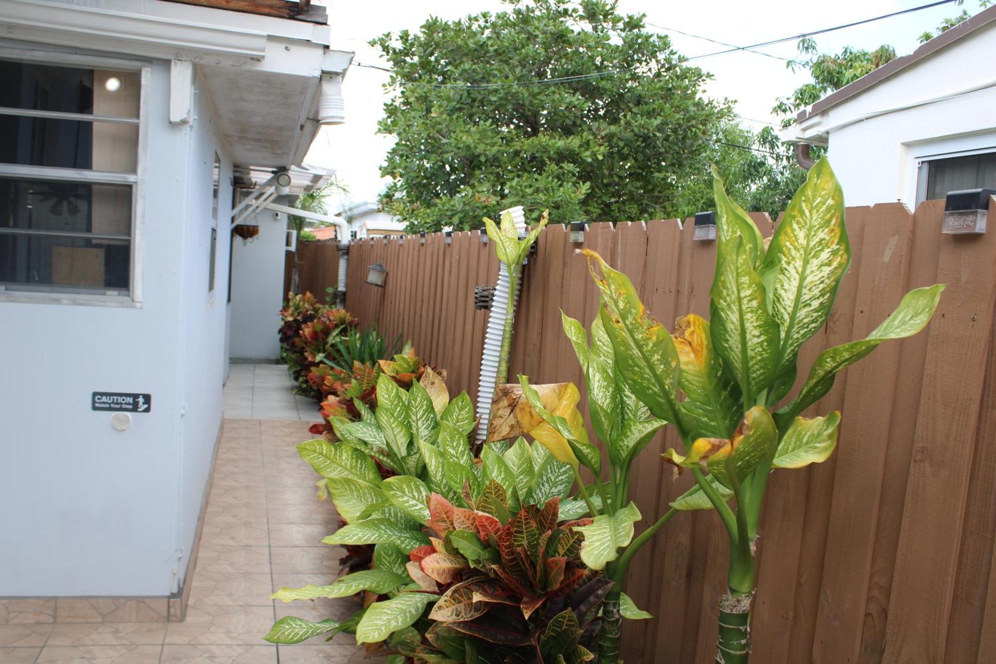 Main House 3 Bed 2 Bath & Guest House 1 Bed 1 Bath Miami Exterior foto